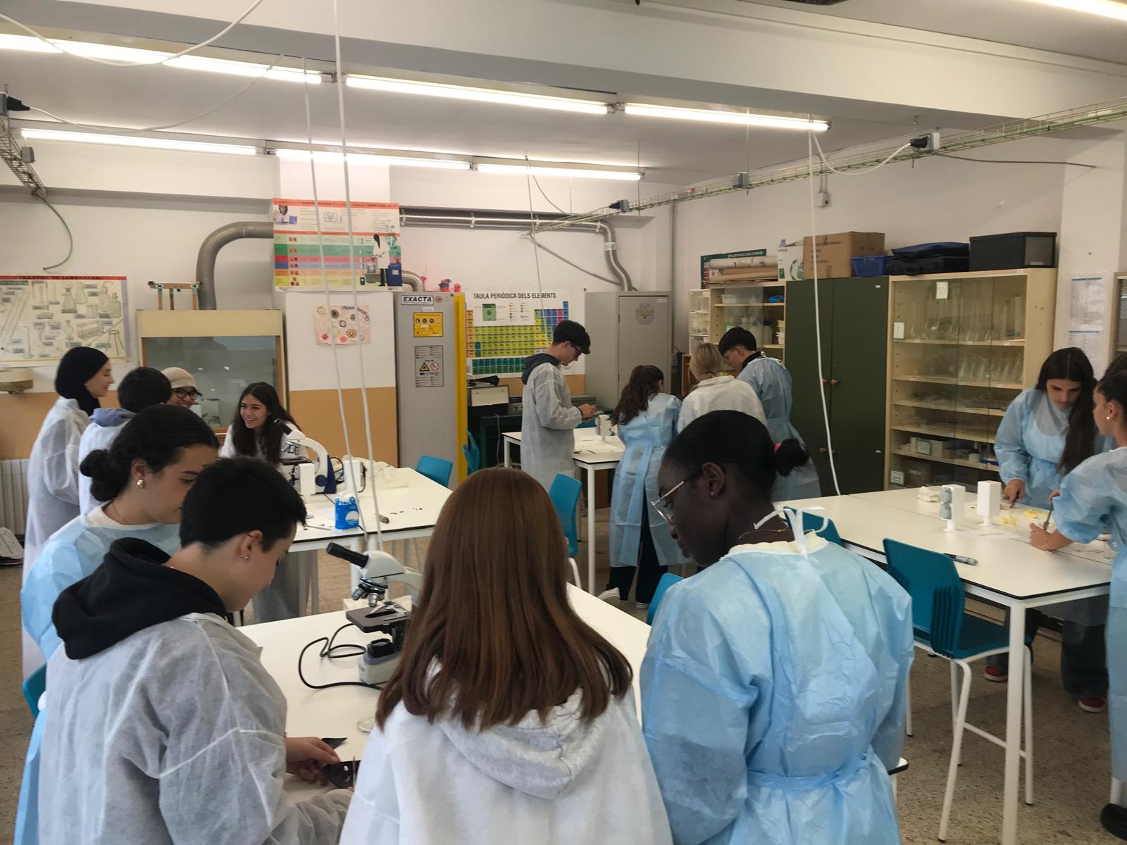 Comencen les pràctiques de laboratori