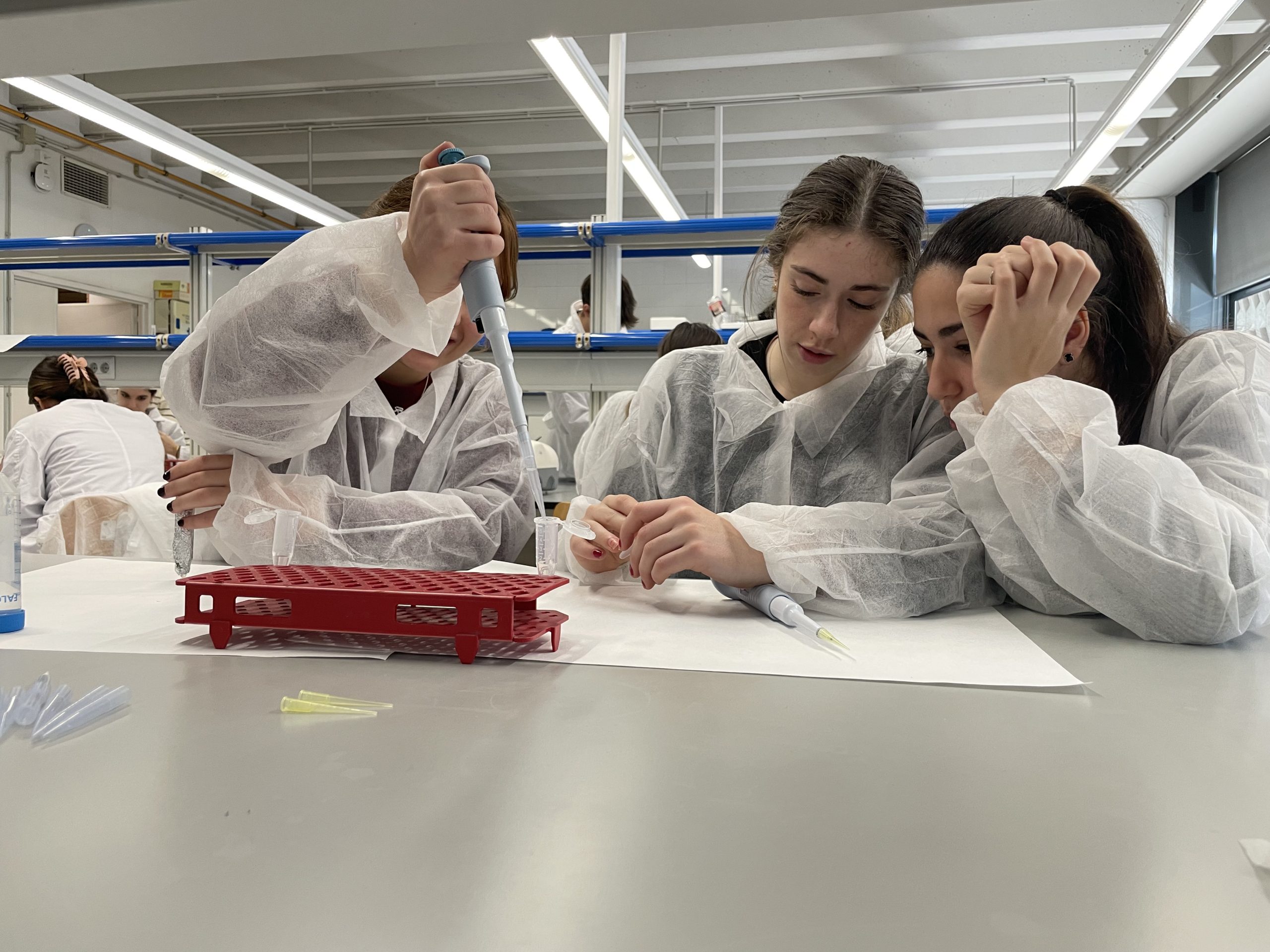 Taller a la facultat de Biologia de la UB