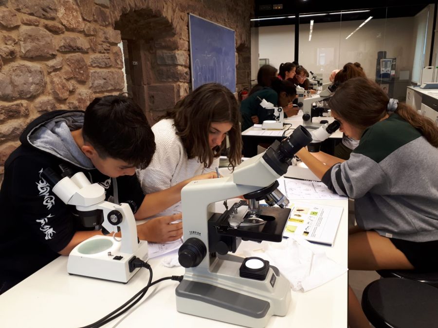 La vida en una gota d’aigua