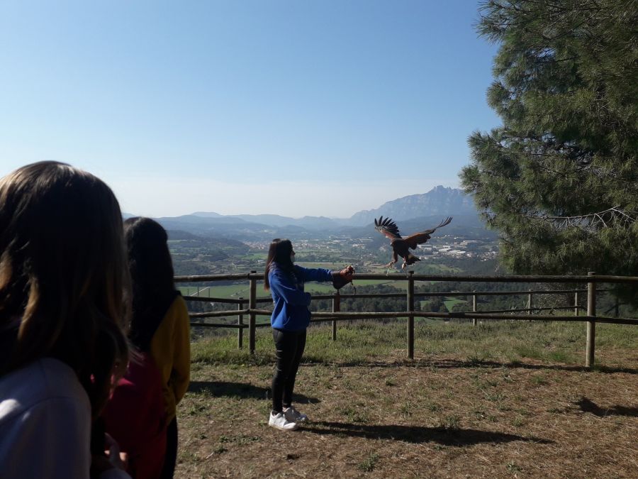 Visita al Parc Ambiental de Bufalvent