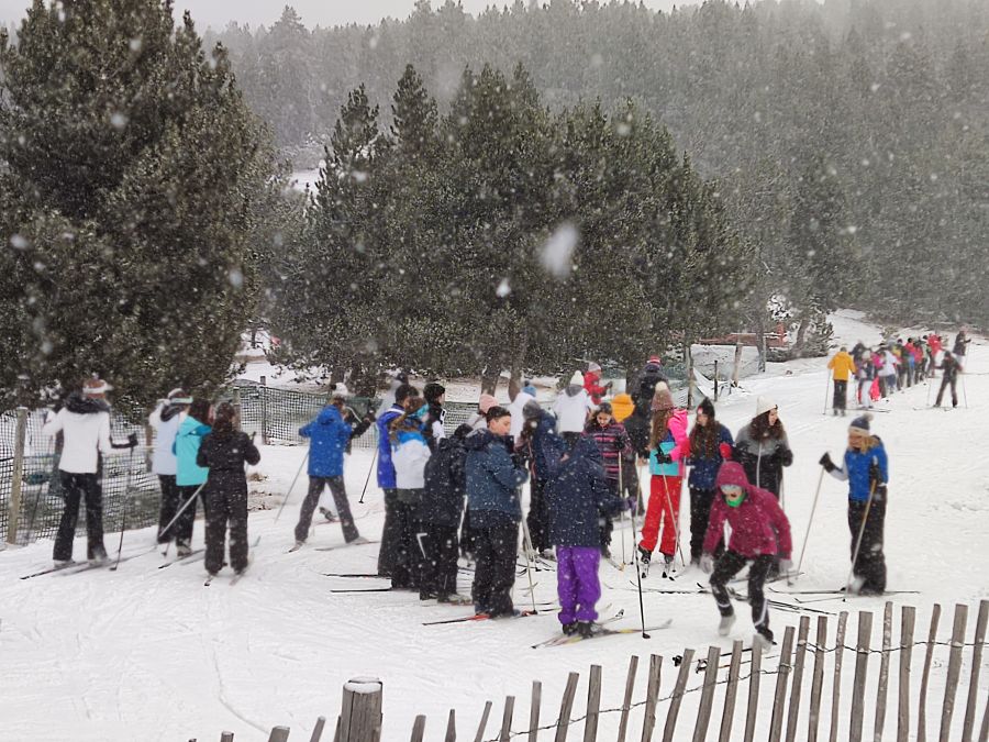 Sortida a Lles de Cerdanya